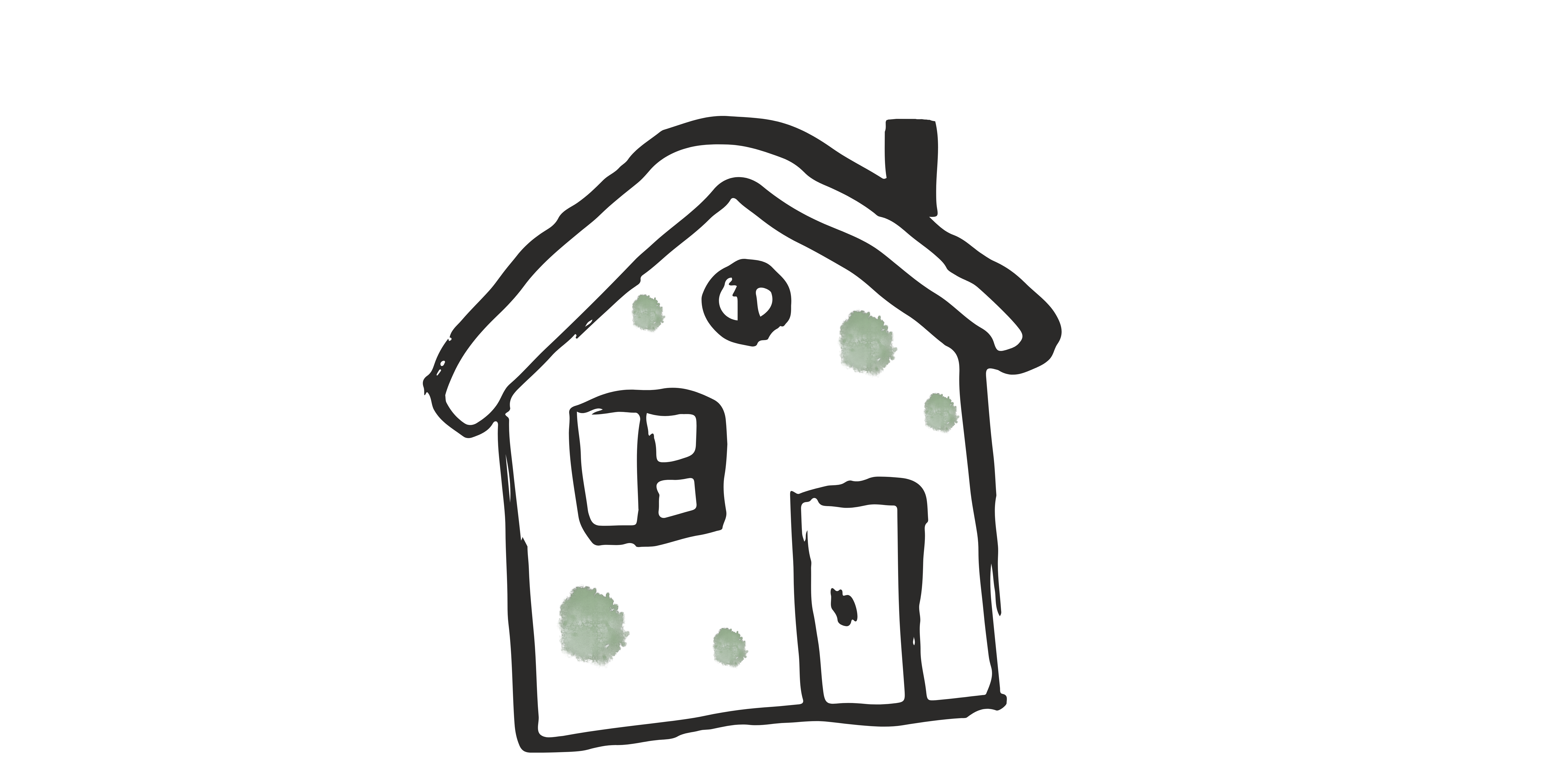 Understanding Mold in Germany – How to get rid of it?