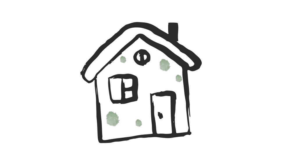 Understanding Mold in Germany – How to get rid of it?